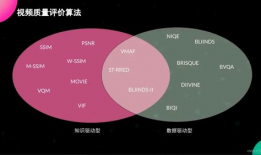 视频质量,揭秘视频质量背后的奥秘